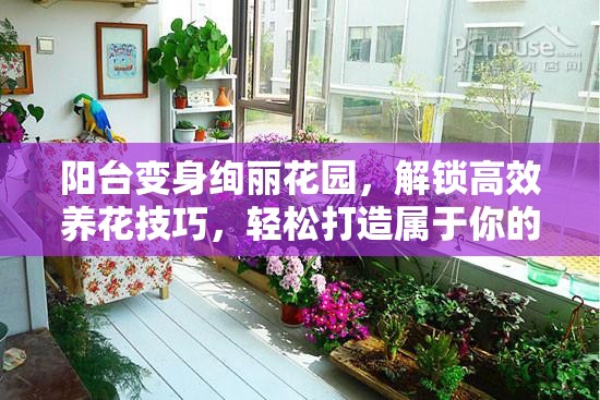 阳台变身绚丽花园，解锁高效养花技巧，轻松打造属于你的都市私密绿洲