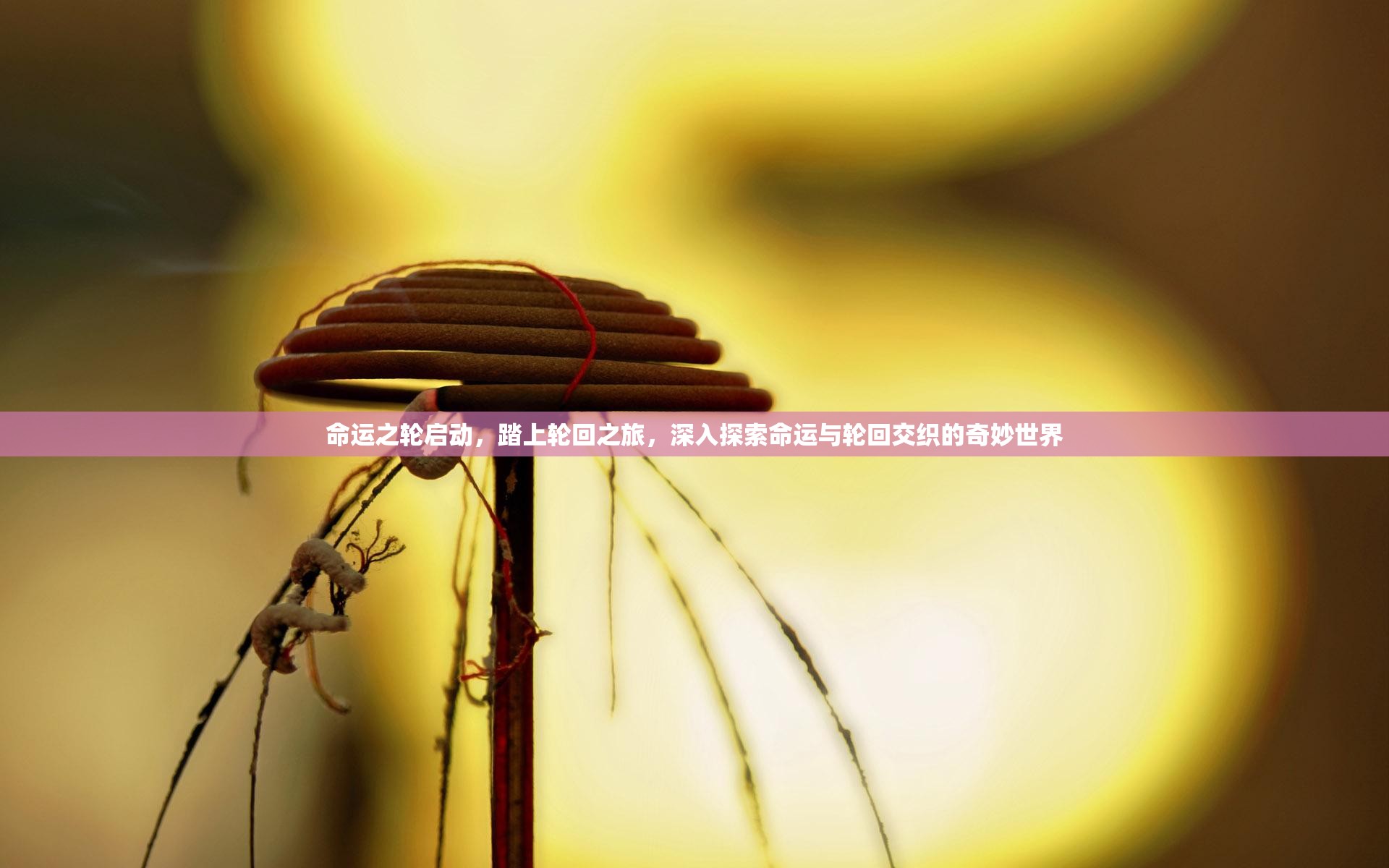 命运之轮启动，踏上轮回之旅，深入探索命运与轮回交织的奇妙世界