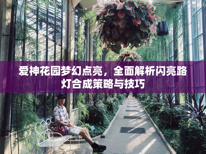 爱神花园梦幻点亮，全面解析闪亮路灯合成策略与技巧