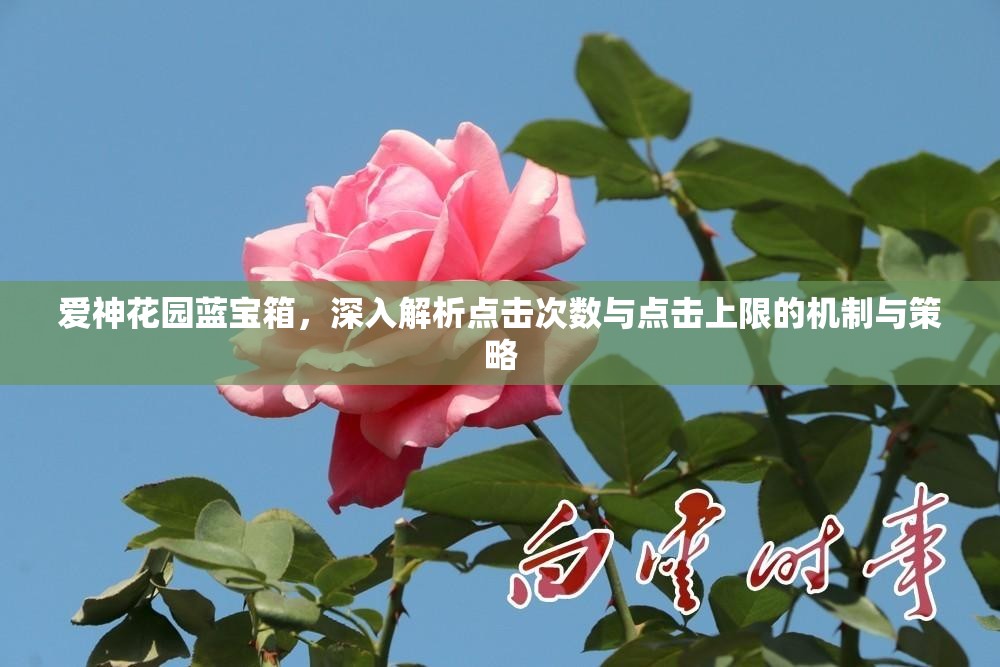 爱神花园蓝宝箱，深入解析点击次数与点击上限的机制与策略
