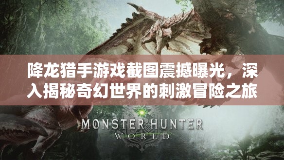 降龙猎手游戏截图震撼曝光，深入揭秘奇幻世界的刺激冒险之旅