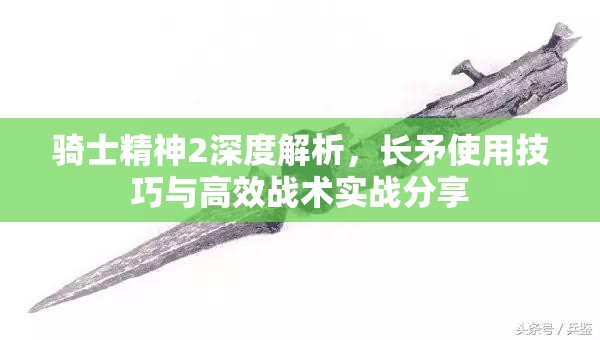 骑士精神2深度解析，长矛使用技巧与高效战术实战分享