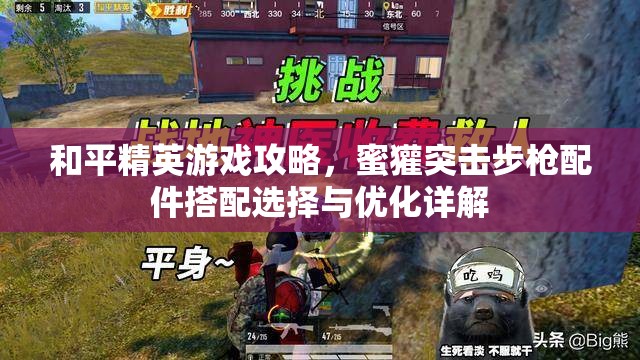 和平精英游戏攻略，蜜獾突击步枪配件搭配选择与优化详解