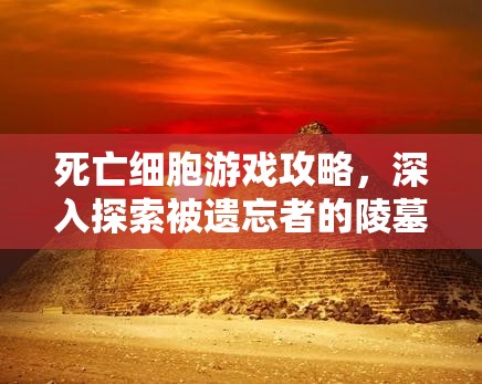 死亡细胞游戏攻略，深入探索被遗忘者的陵墓，解锁全关卡技巧详解