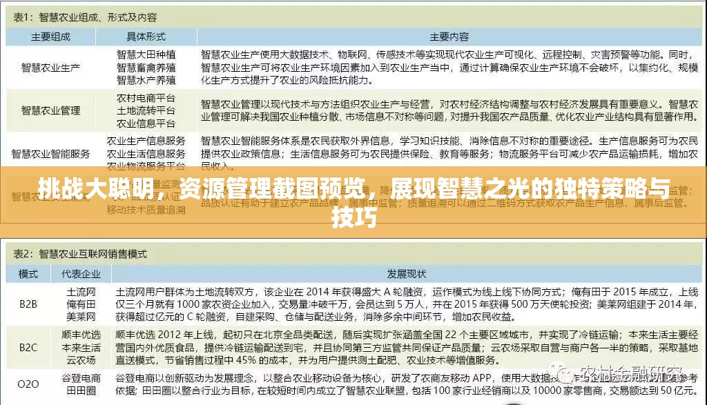 挑战大聪明，资源管理截图预览，展现智慧之光的独特策略与技巧