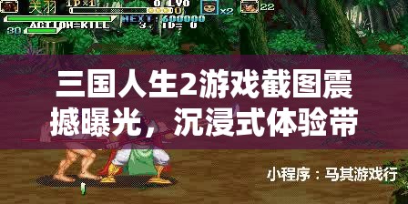 三国人生2游戏截图震撼曝光，沉浸式体验带你领略别具一格的三国风云世界