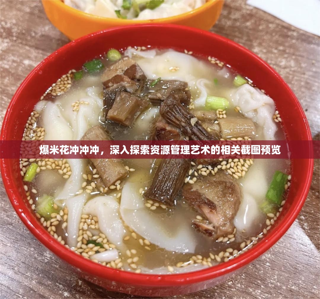 爆米花冲冲冲，深入探索资源管理艺术的相关截图预览