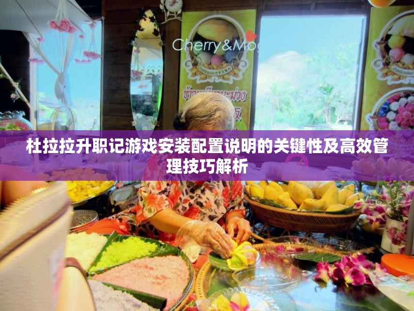 杜拉拉升职记游戏安装配置说明的关键性及高效管理技巧解析