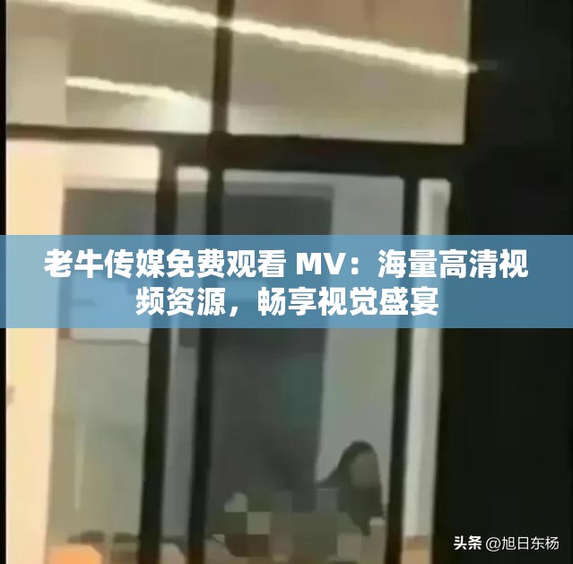 老牛传媒免费观看 MV：海量高清视频资源，畅享视觉盛宴