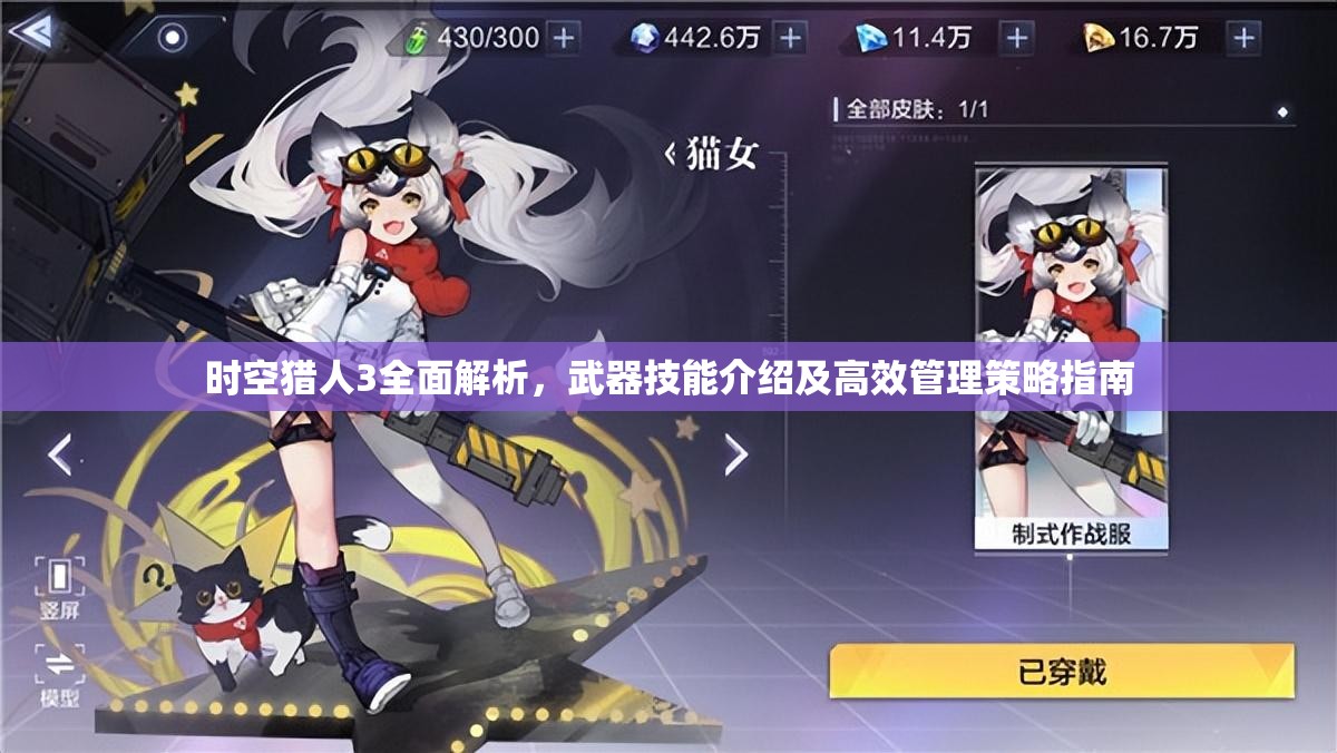 时空猎人3全面解析，武器技能介绍及高效管理策略指南