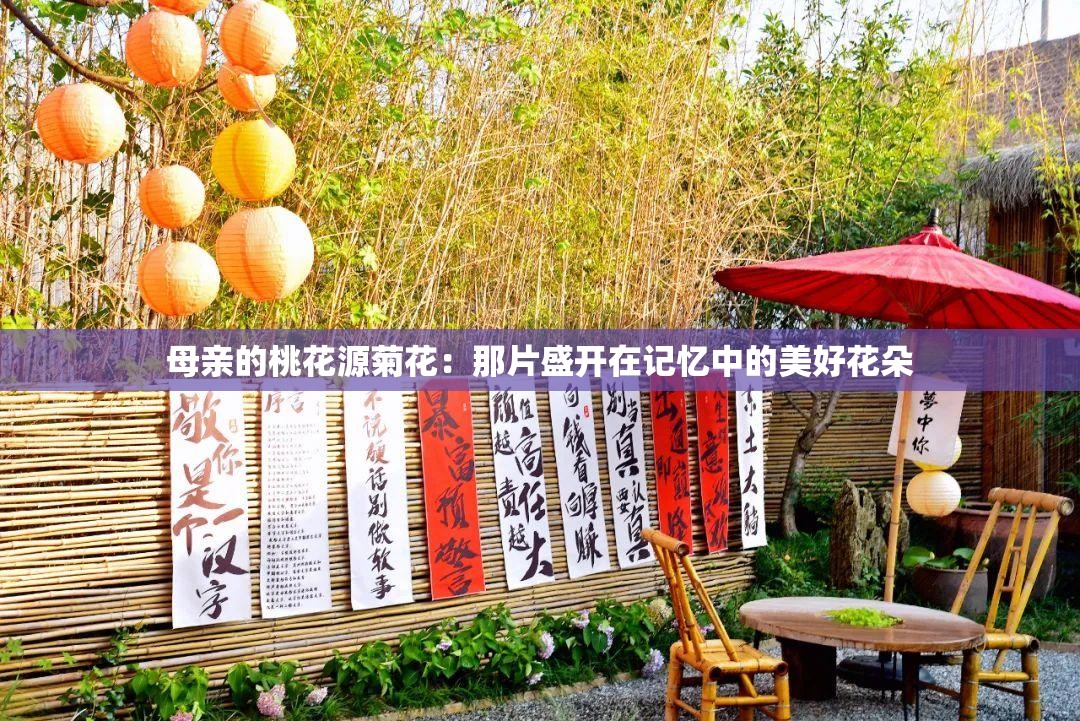 母亲的桃花源菊花：那片盛开在记忆中的美好花朵