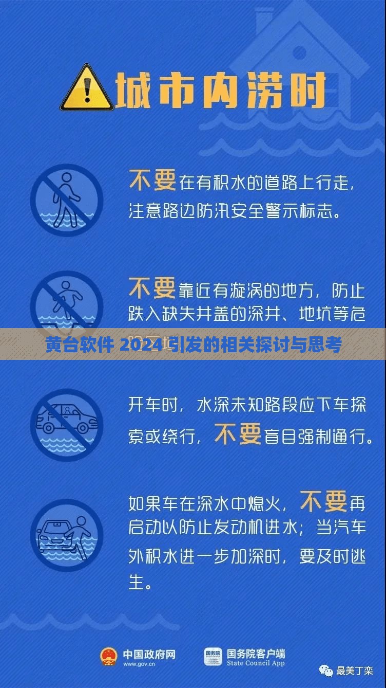 黄台软件 2024 引发的相关探讨与思考