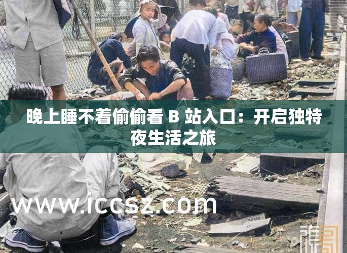 晚上睡不着偷偷看 B 站入口：开启独特夜生活之旅