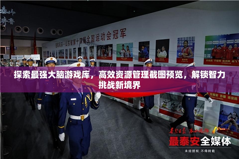 探索最强大脑游戏库，高效资源管理截图预览，解锁智力挑战新境界