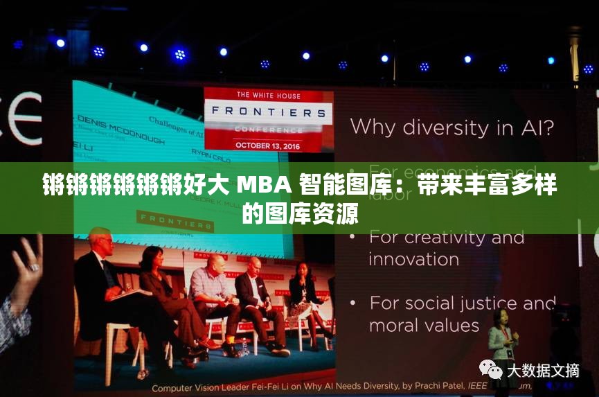 锵锵锵锵锵锵好大 MBA 智能图库：带来丰富多样的图库资源