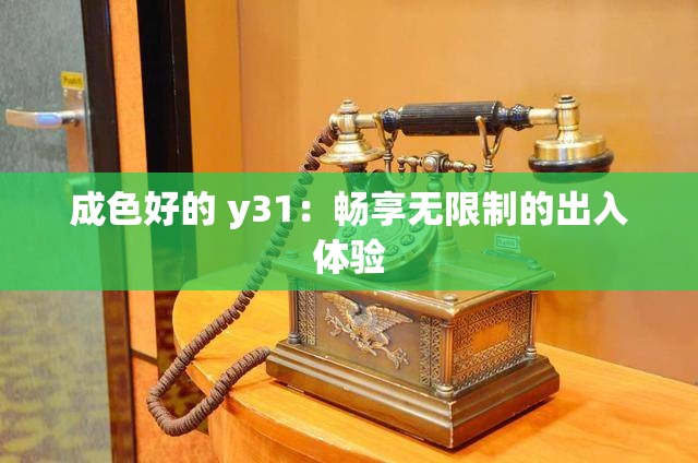 成色好的 y31：畅享无限制的出入体验