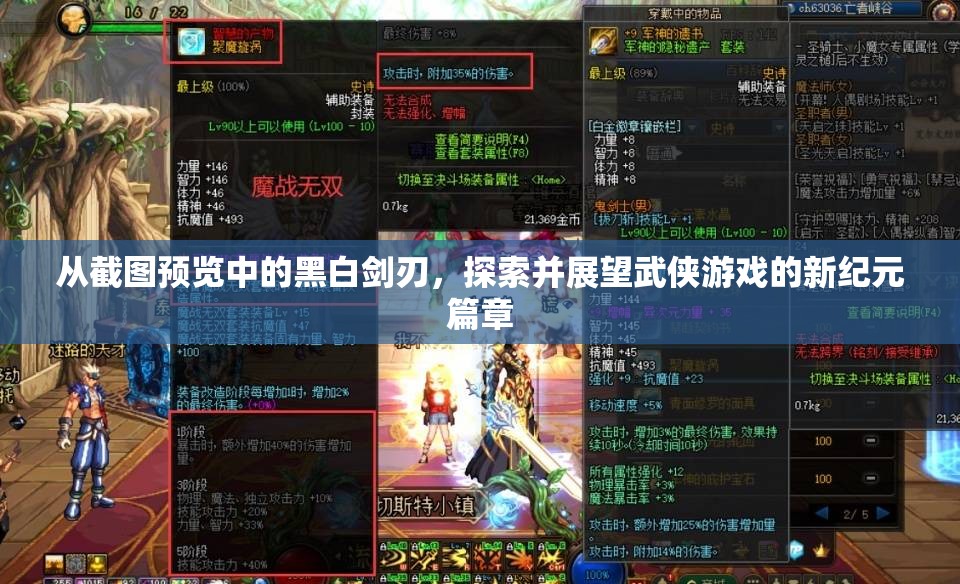 从截图预览中的黑白剑刃，探索并展望武侠游戏的新纪元篇章