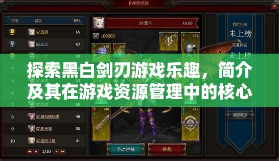 探索黑白剑刃游戏乐趣，简介及其在游戏资源管理中的核心重要性