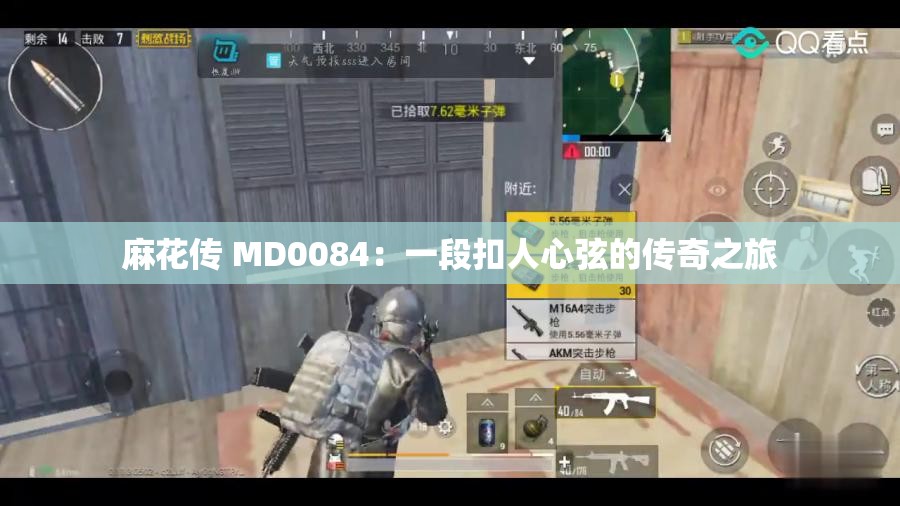 麻花传 MD0084：一段扣人心弦的传奇之旅