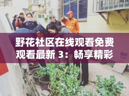 野花社区在线观看免费观看最新 3：畅享精彩影视大片