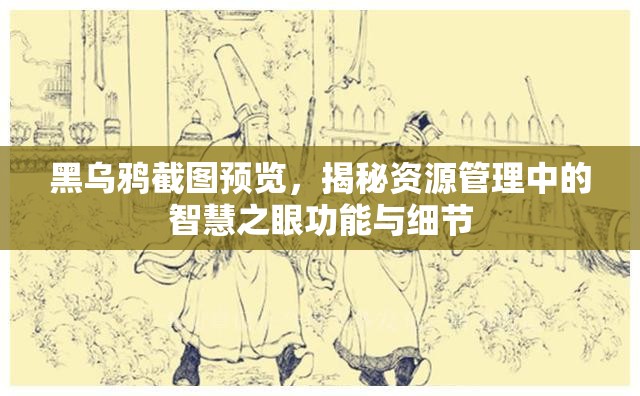 黑乌鸦截图预览，揭秘资源管理中的智慧之眼功能与细节