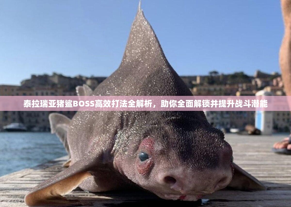 泰拉瑞亚猪鲨BOSS高效打法全解析，助你全面解锁并提升战斗潜能