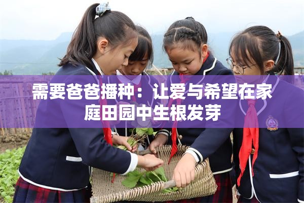 需要爸爸播种：让爱与希望在家庭田园中生根发芽
