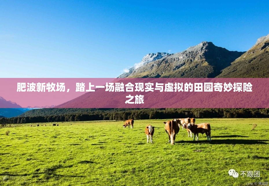 肥波新牧场，踏上一场融合现实与虚拟的田园奇妙探险之旅