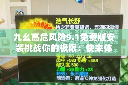 九幺高危风险9.1免费版安装挑战你的极限：快来体验刺激与心跳