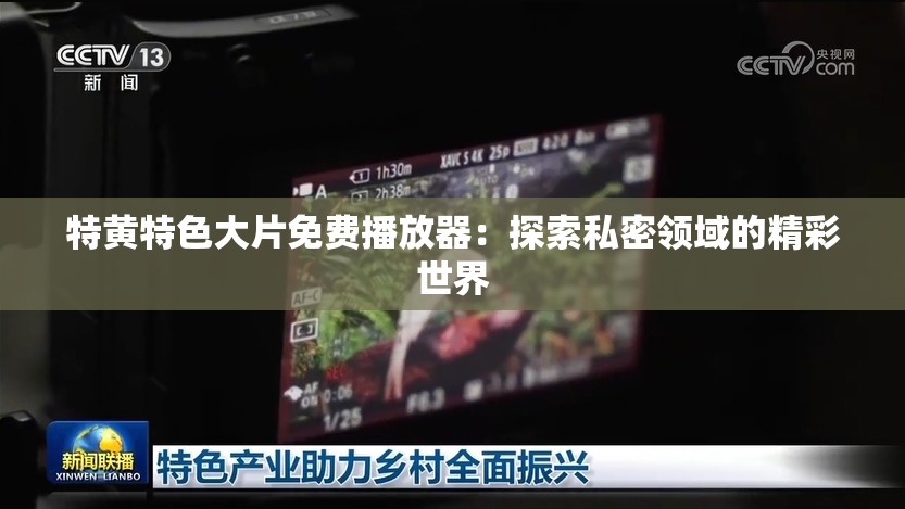 特黄特色大片免费播放器：探索私密领域的精彩世界
