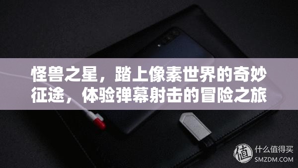 怪兽之星，踏上像素世界的奇妙征途，体验弹幕射击的冒险之旅