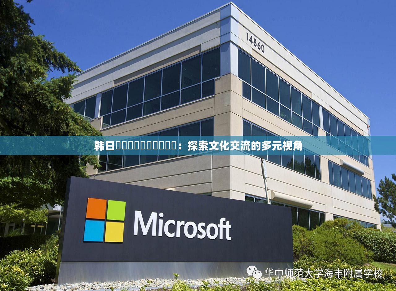 韩日乄乄乄乄乄乄乄乄乄乄：探索文化交流的多元视角