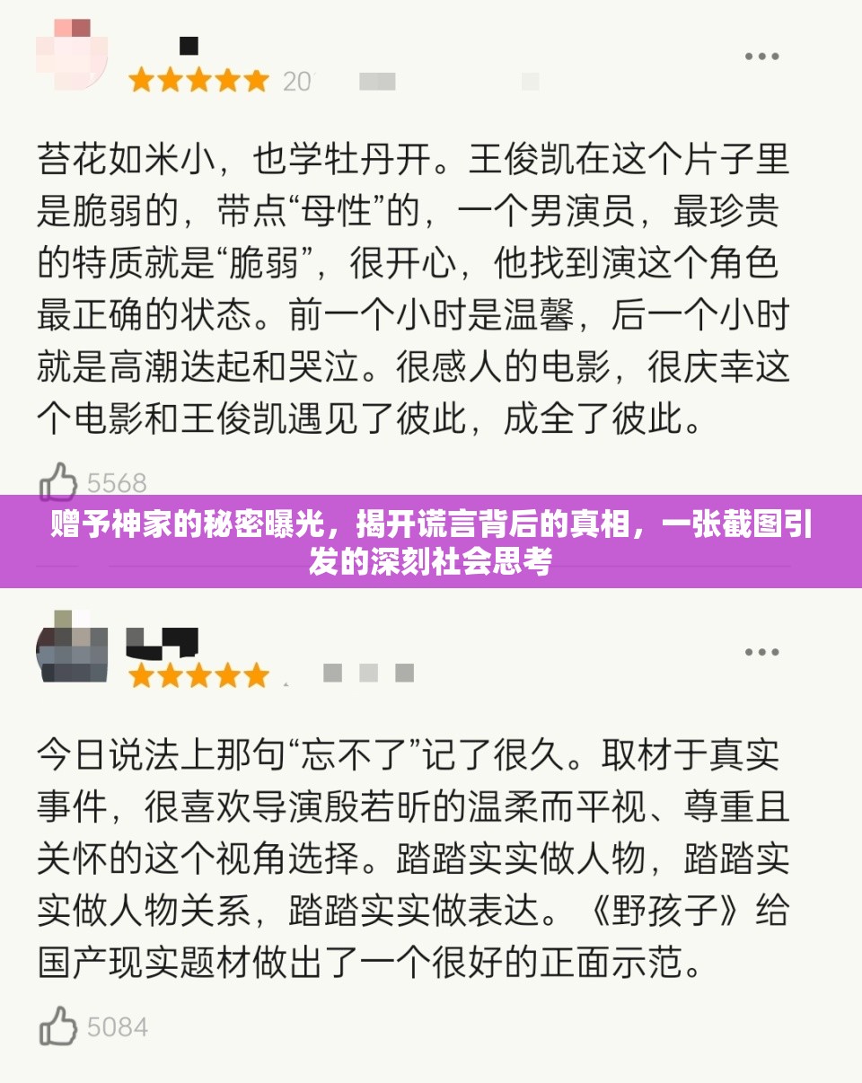 赠予神家的秘密曝光，揭开谎言背后的真相，一张截图引发的深刻社会思考