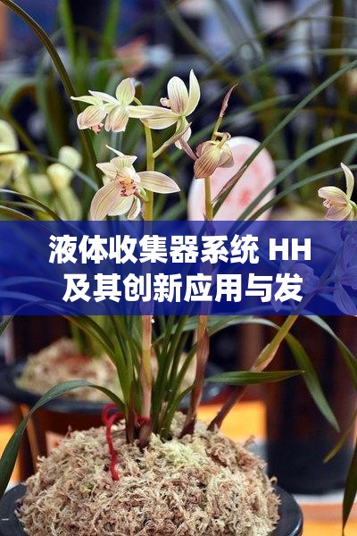 液体收集器系统 HH 及其创新应用与发展探讨