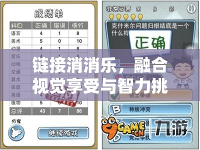 链接消消乐，融合视觉享受与智力挑战的双重盛宴体验