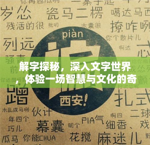 解字探秘，深入文字世界，体验一场智慧与文化的奇妙碰撞之旅