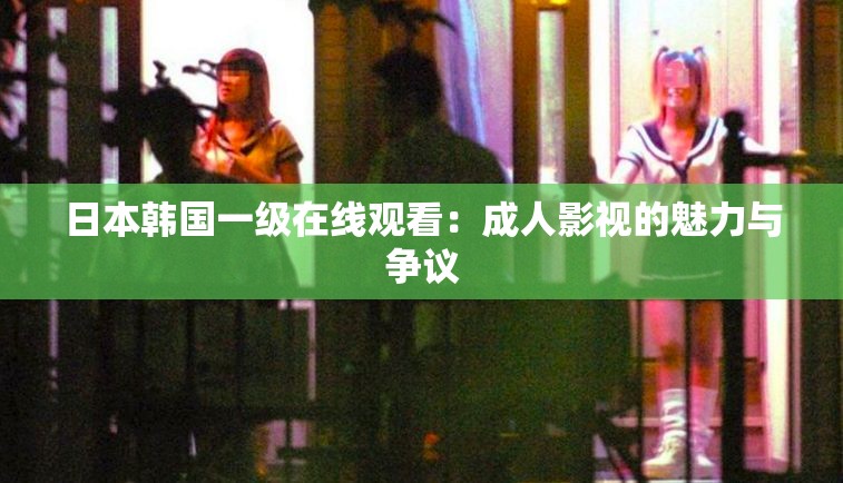 日本韩国一级在线观看：成人影视的魅力与争议