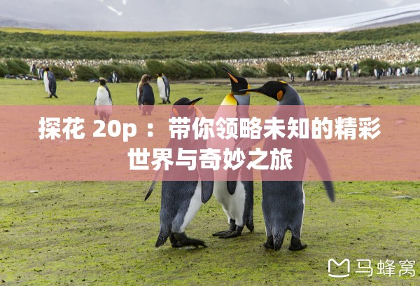 探花 20p ：带你领略未知的精彩世界与奇妙之旅