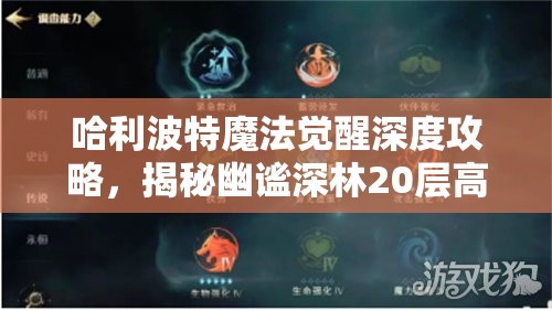 哈利波特魔法觉醒深度攻略，揭秘幽谧深林20层高效通关秘籍与技巧