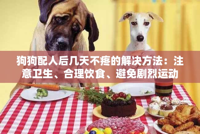 狗狗配人后几天不疼的解决方法：注意卫生、合理饮食、避免剧烈运动