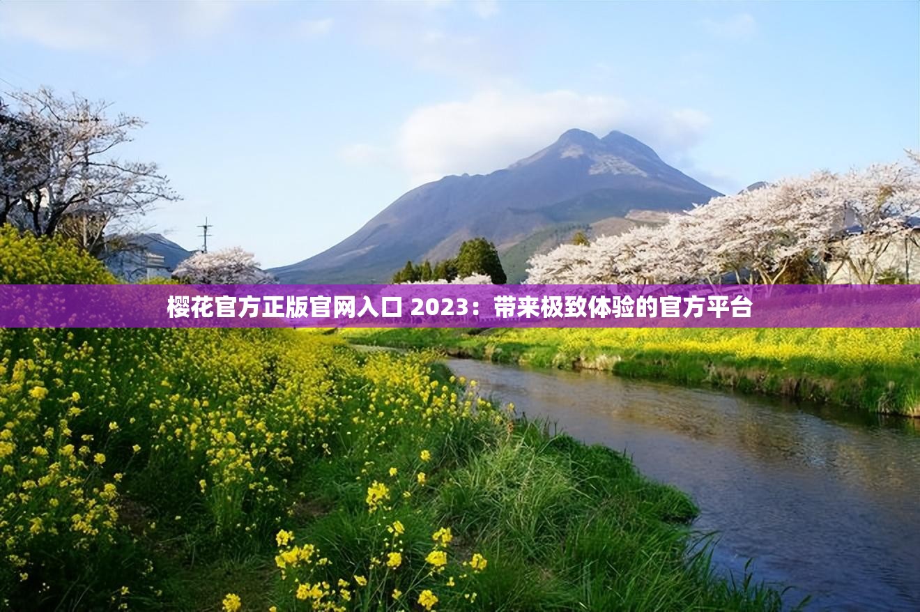樱花官方正版官网入口 2023：带来极致体验的官方平台