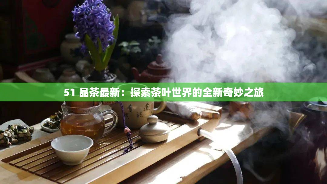 51 品茶最新：探索茶叶世界的全新奇妙之旅