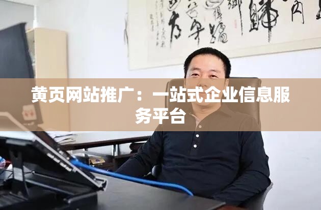 黄页网站推广：一站式企业信息服务平台