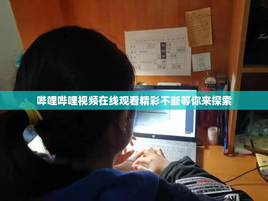 哔哩哔哩视频在线观看精彩不断等你来探索