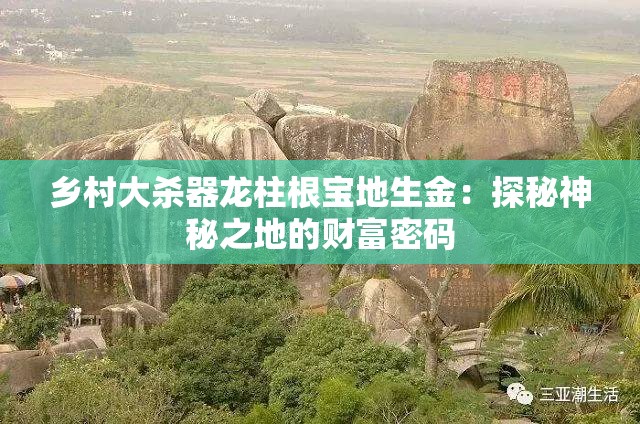 乡村大杀器龙柱根宝地生金：探秘神秘之地的财富密码