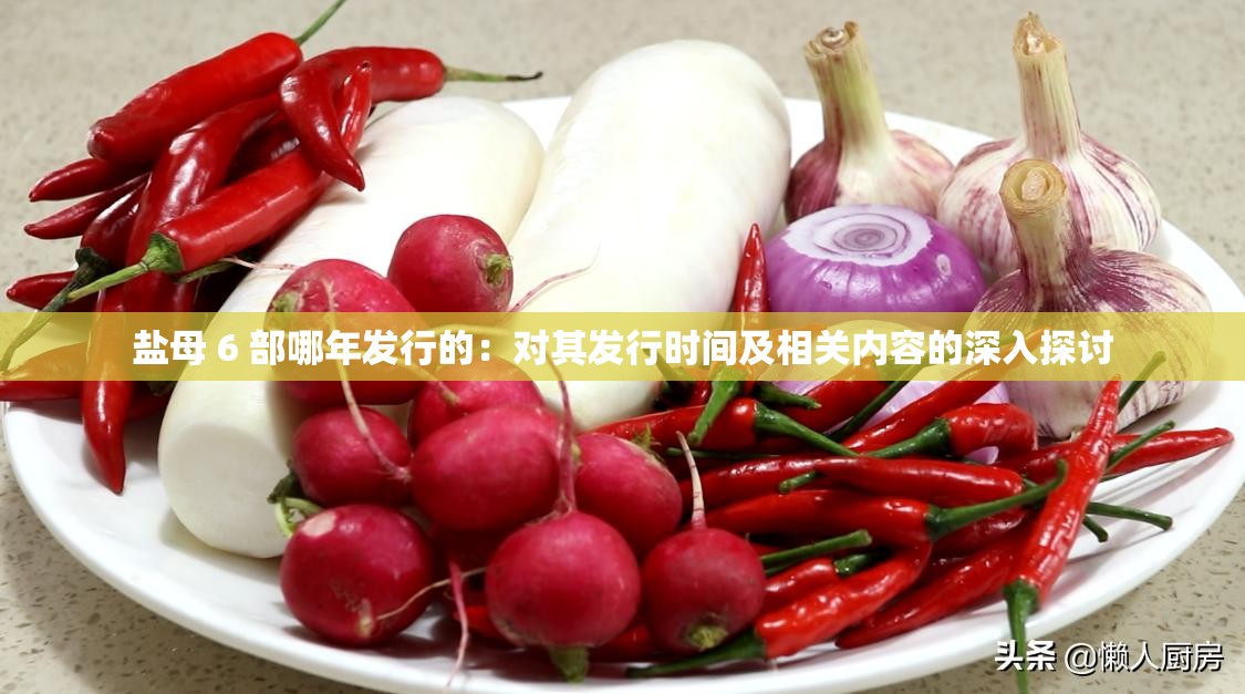 盐母 6 部哪年发行的：对其发行时间及相关内容的深入探讨