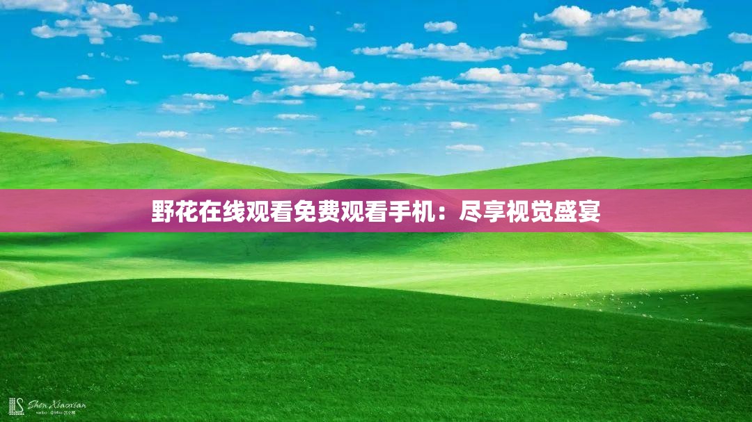 野花在线观看免费观看手机：尽享视觉盛宴