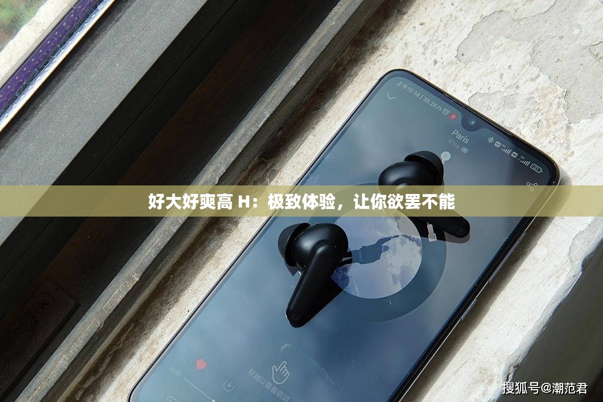 好大好爽高 H：极致体验，让你欲罢不能