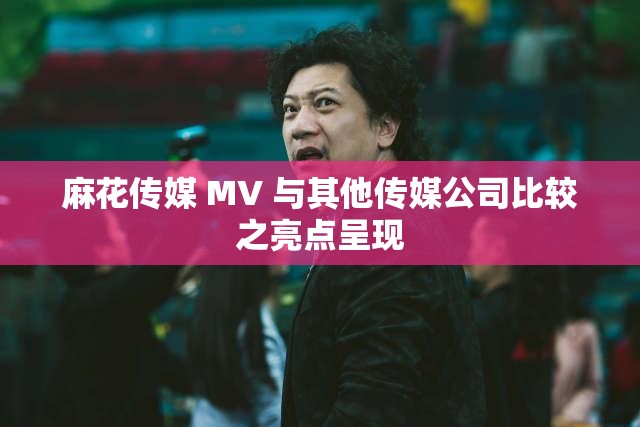 麻花传媒 MV 与其他传媒公司比较之亮点呈现