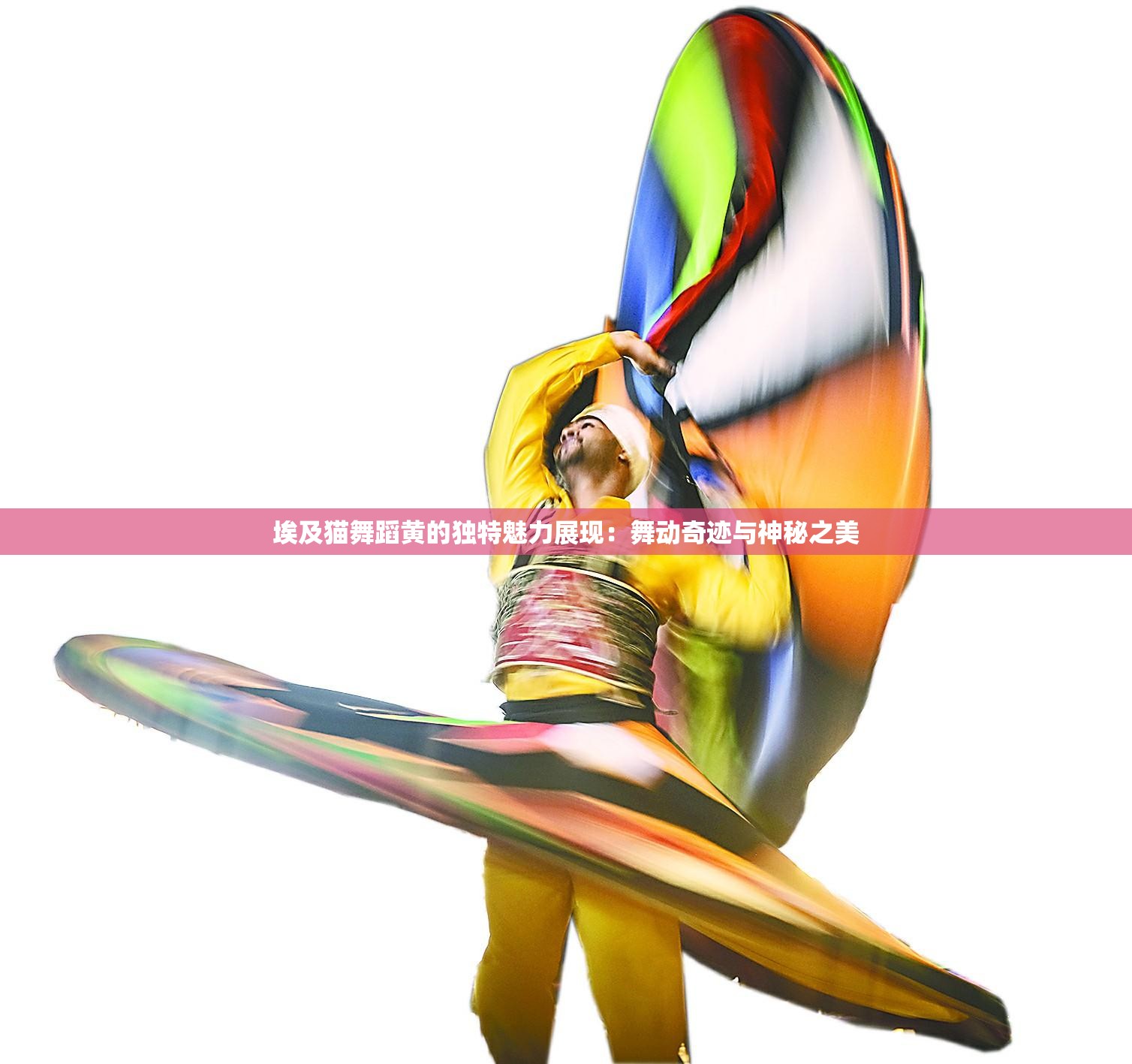 埃及猫舞蹈黄的独特魅力展现：舞动奇迹与神秘之美
